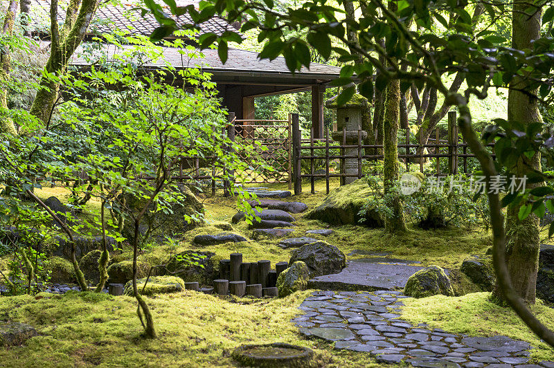 Stone Steps Green Moss日本花园俄勒冈州“CreativeContentBrief”700060701绿叶